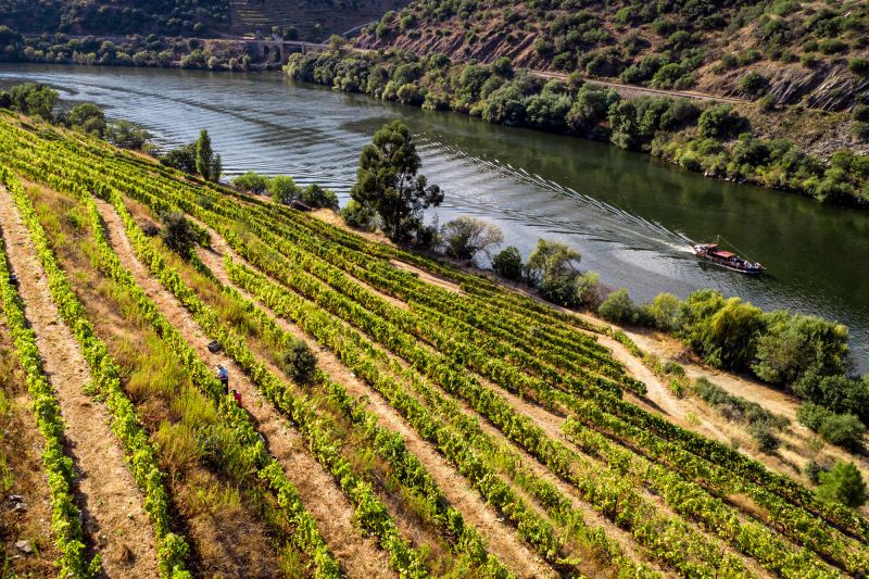 Weine Portugal