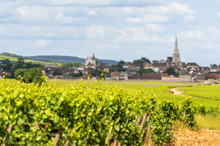 Burgund 2024