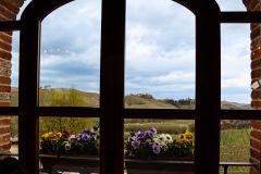 Weine aus der Region Piemont