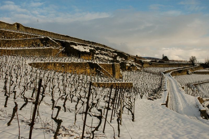 Martel Domaine des Landions