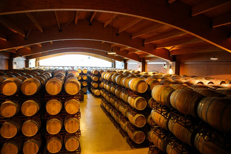 Martel Bodegas Vallobera