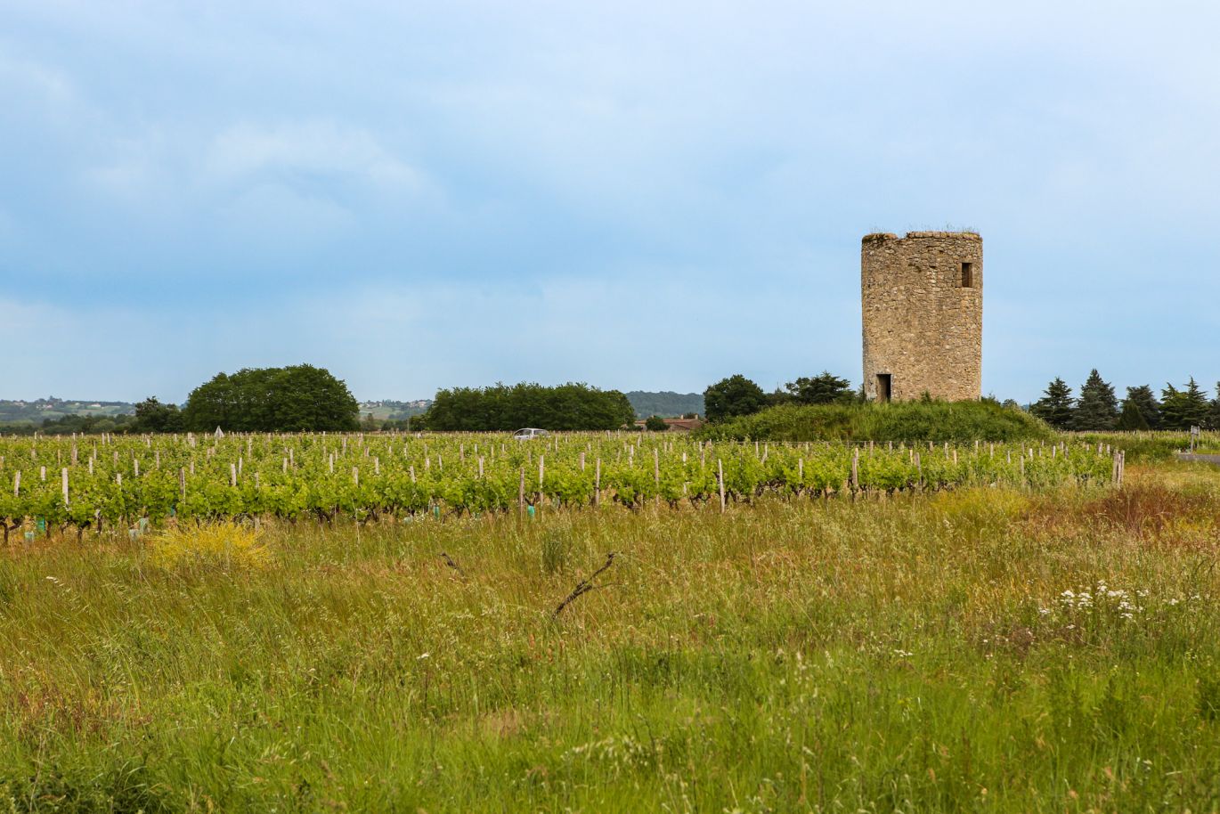Weine Graves/Pessac-Léognan