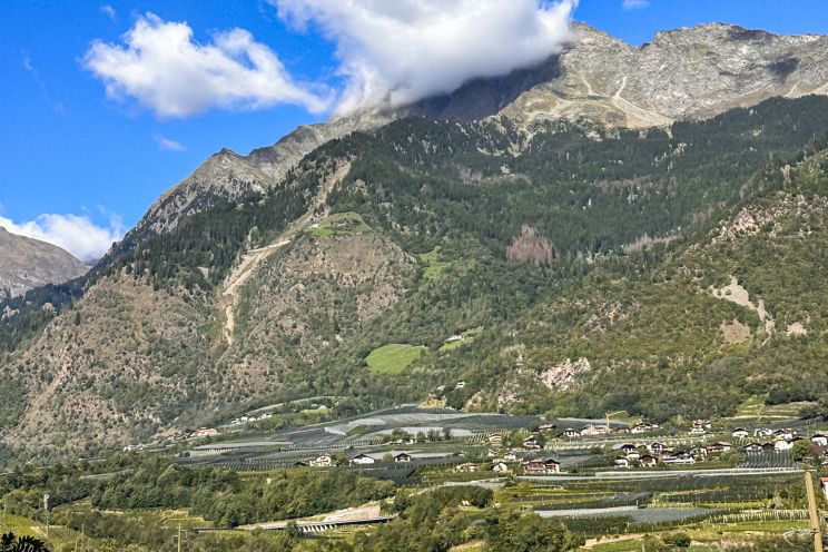 Weine aus der Region Südtirol