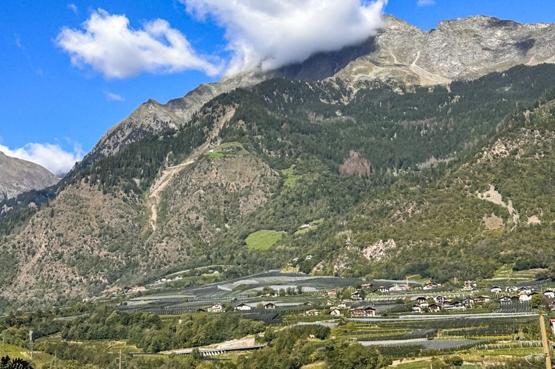 Weine aus der Region Südtirol