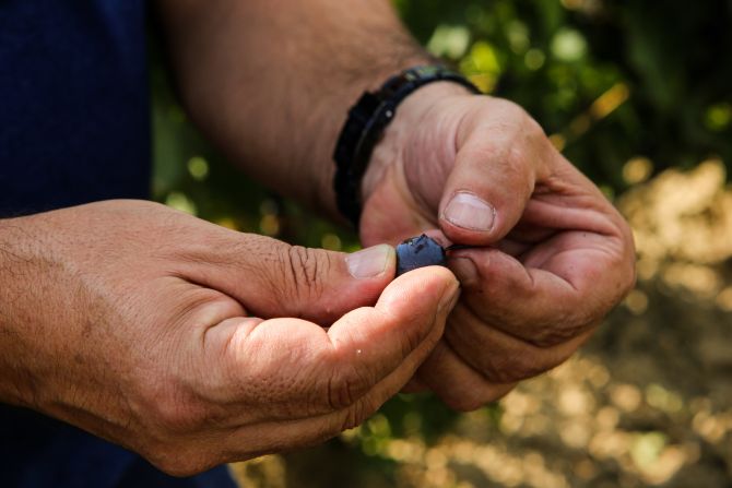 Weine Bodegas Vallobera