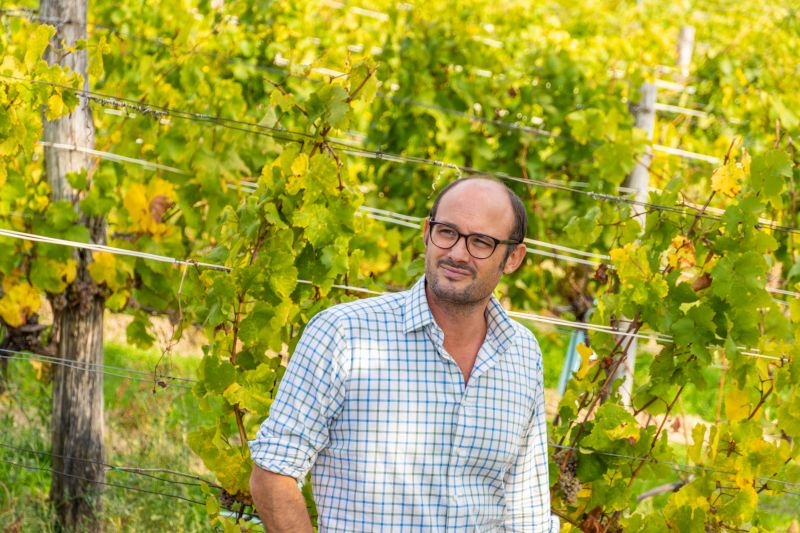 Winzer Weingut Mayer am Pfarrplatz