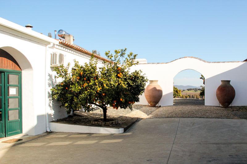 Martel Cortes de Cima