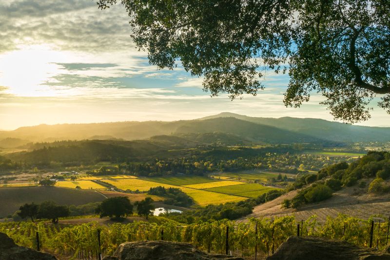 Weine Sonoma County