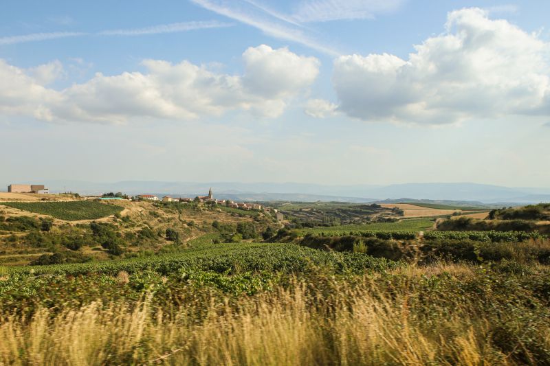 Weine Rioja Alavesa