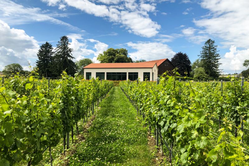 Weingut Domaine des Landions