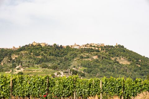Weine Montalcino