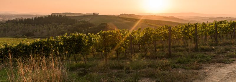 Martel AG - Tenuta di Bibbiano