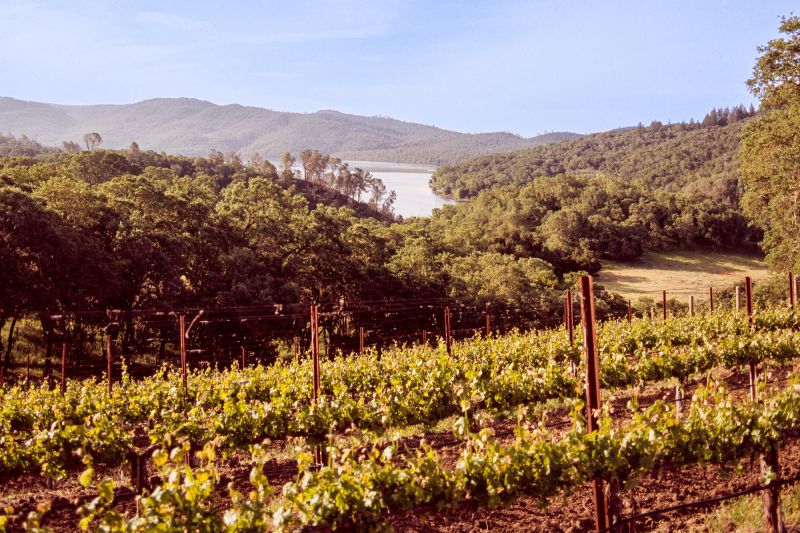 Weingut Bond