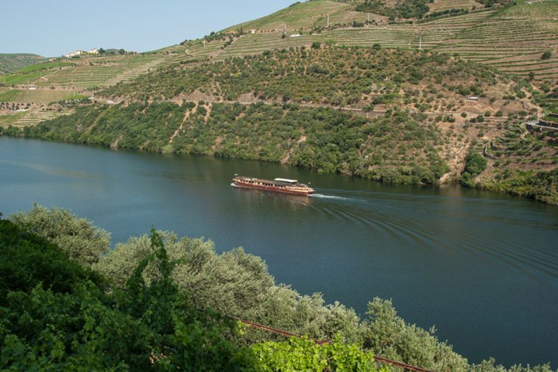 Wein Douro