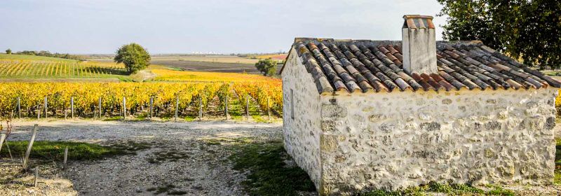 Martel AG - Château Sociando-Mallet