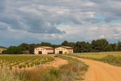 Weine aus der Region Ribera del Duero