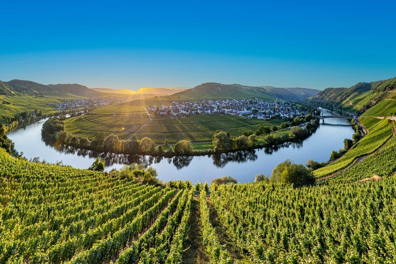 Weine Deutschland
