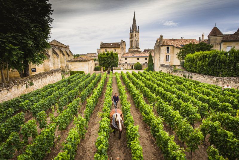 Weine aus der Region Bordeaux