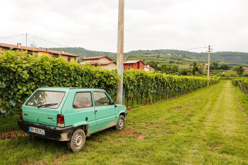 Weine Azienda Agricola Roccolo Grassi