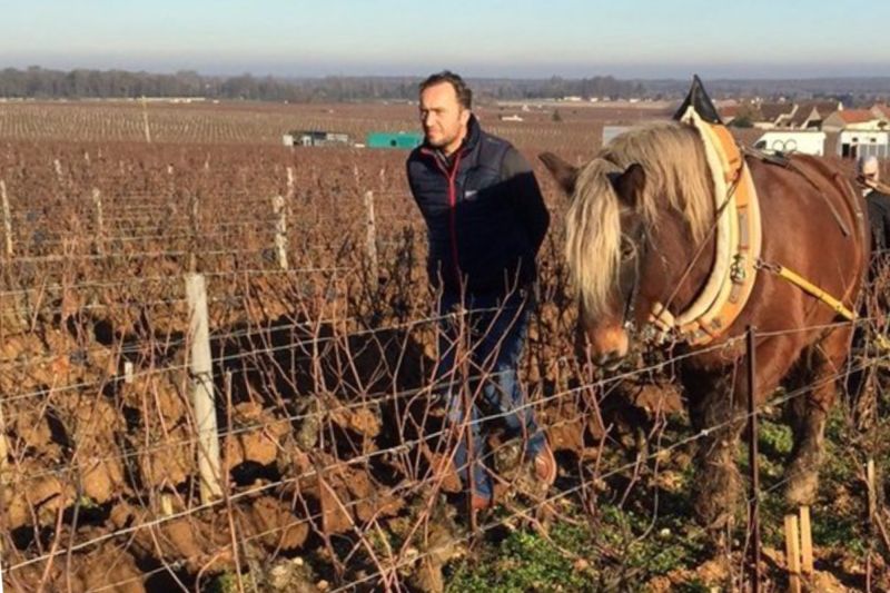 Winzer Domaine du Nozay