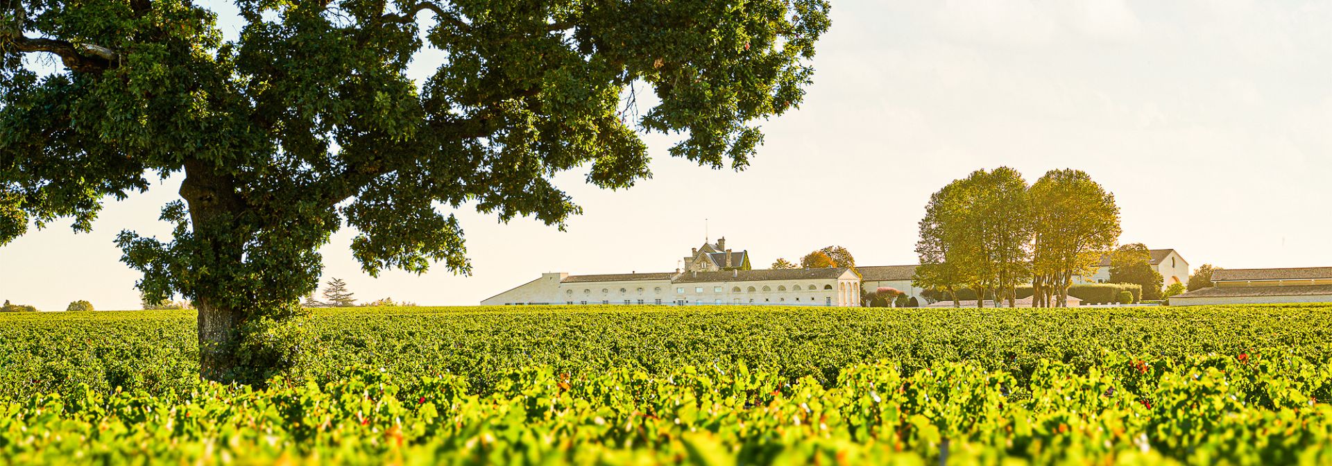 Martel AG - Château Mouton Rothschild