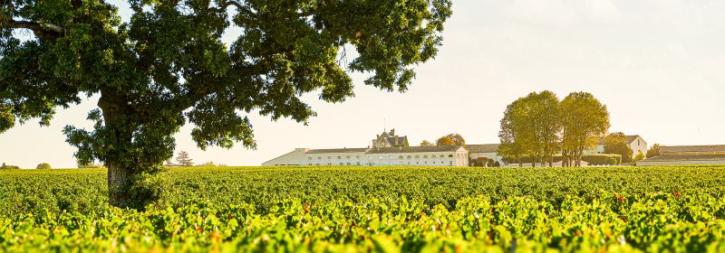 Martel AG - Château Mouton Rothschild
