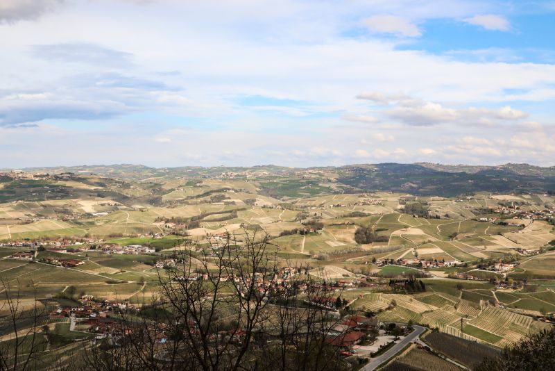 Weine aus der Region Piemont