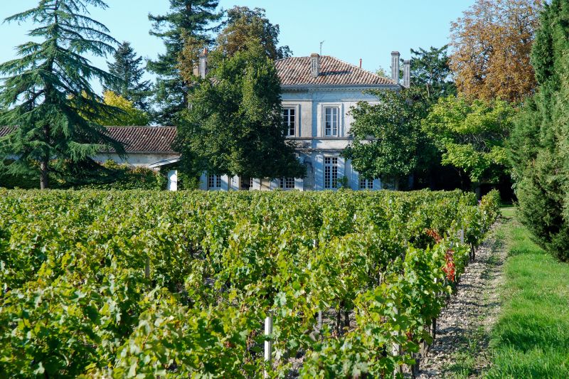 Weingut Château Dutruch Grand Poujeaux