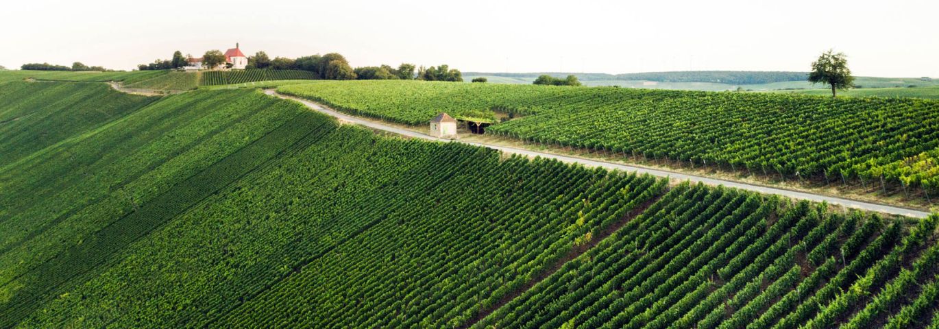 Martel AG - Weingut Max Müller I