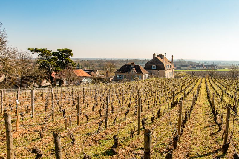 Weine Domaine de l'Arlot
