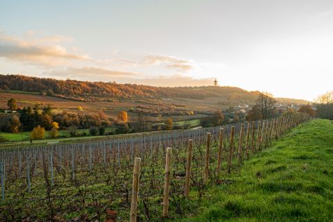 Weine Côte Chalonnaise