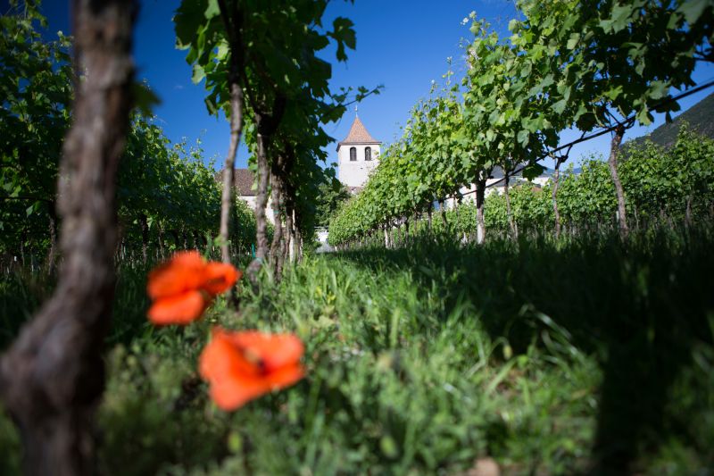 Weine Südtirol