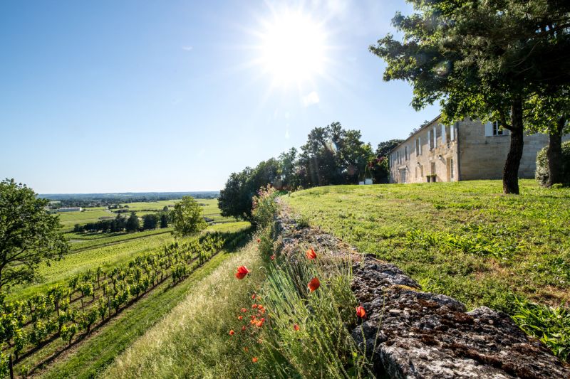 Weingut Château Quintus