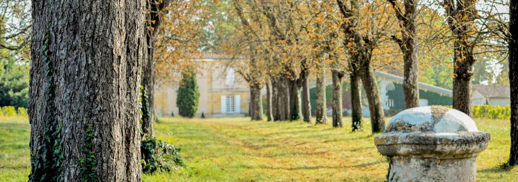 Martel AG - Château Lespault-Martillac