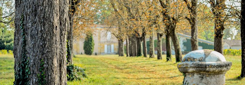 Martel AG - Château Lespault-Martillac